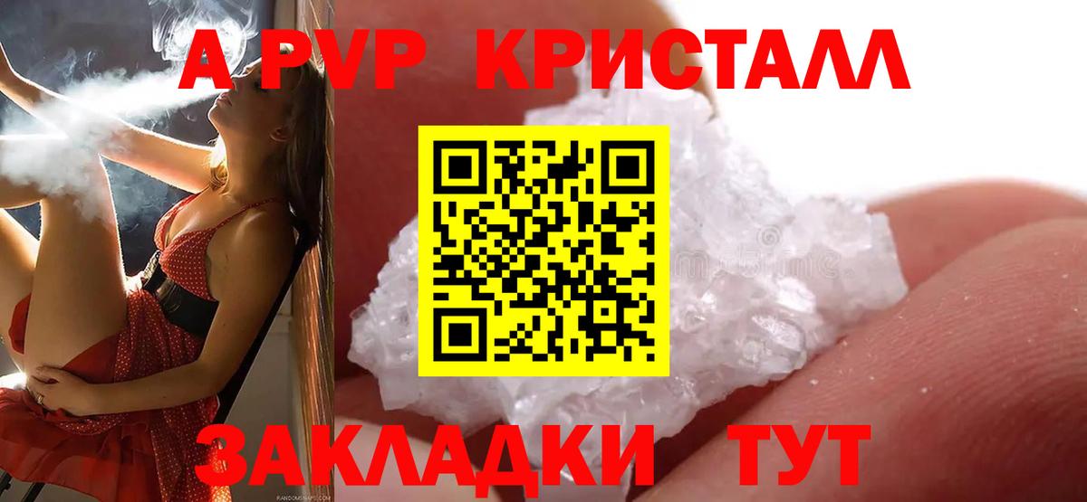 Сосновый Бор  APVP СК  APVP крисы CK  Вход с VPN 