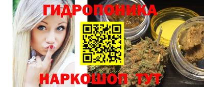 шишки Моздок