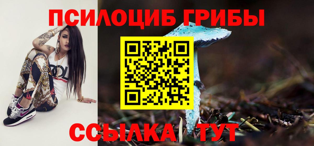 Сосновый Бор  Галлюциногенные грибы Cubensis  Вход с VPN 