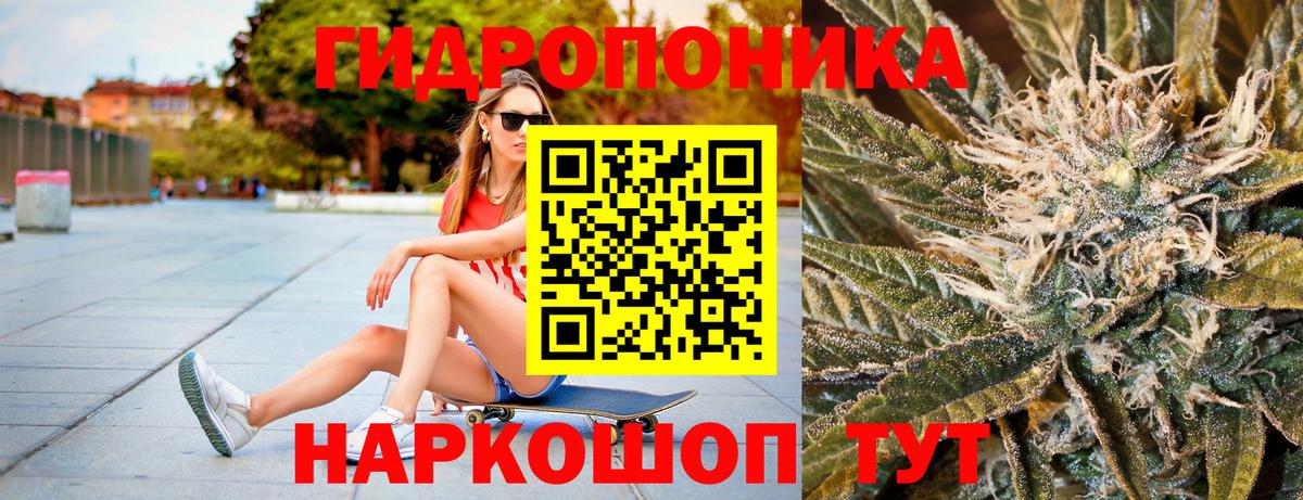 Шишки марихуана LSD WEED  Бошки марихуана THC 21%  Вход с VPN  Сосновый Бор  МАРИХУАНА конопля 